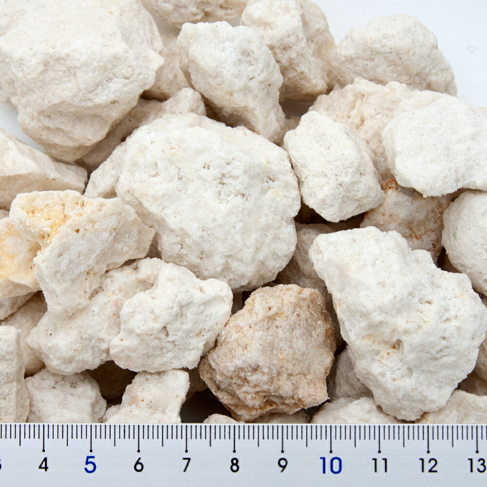 国内洗浄済み　C．P．Farm　fossil　coral　化石サンゴメディア　Lサイズ　3kg（1kg×3）　カルシウムリアクター用　おまけ付き　関東当日便 2