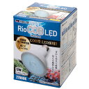 カミハタ Rio COB LED シャローブルー 12W E26口径 海水魚・サンゴ用 水槽LED ライト 照明 関東当日便