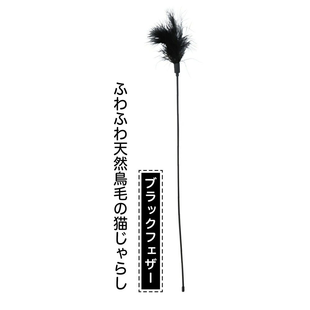 ǭ����餷���ڥƥ�����ǭ�Ѥ�����㡡necoco��BLACK��TACT���֥�å��ե�����������������