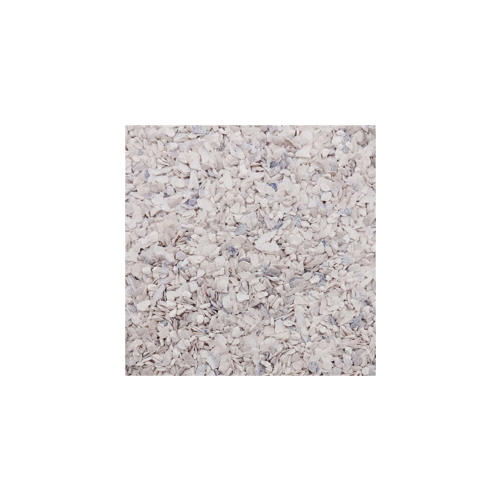 NPF　エクセル　カルシウム　220g　関東当日便 chanet3980-10015275 charm 3980 楽天市場店 サンプル画像3