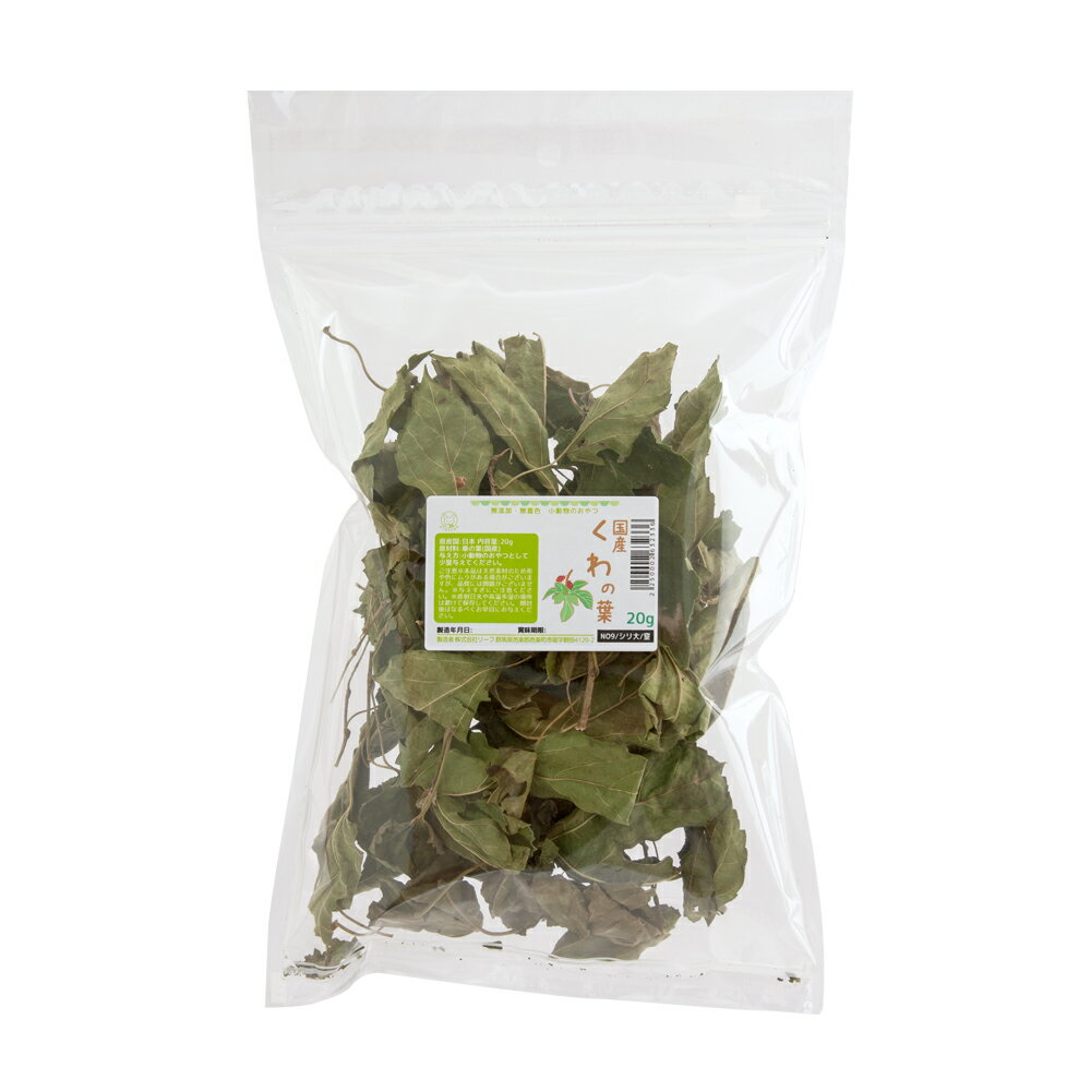 国産　くわの葉　20g　小動物のおやつ　無添加　無着色　関東当日便