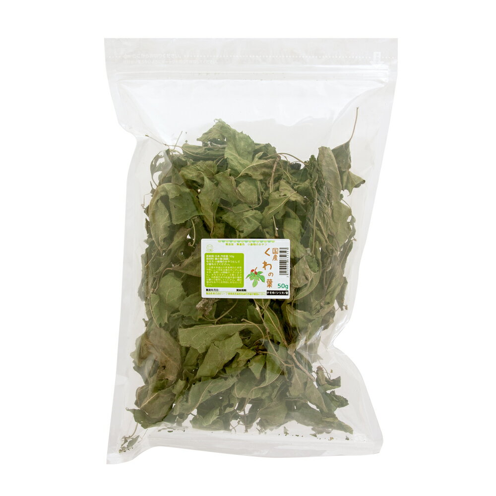 国産　くわの葉　50g　大容量　小動物のおやつ　無添加　無着色　関東当日便