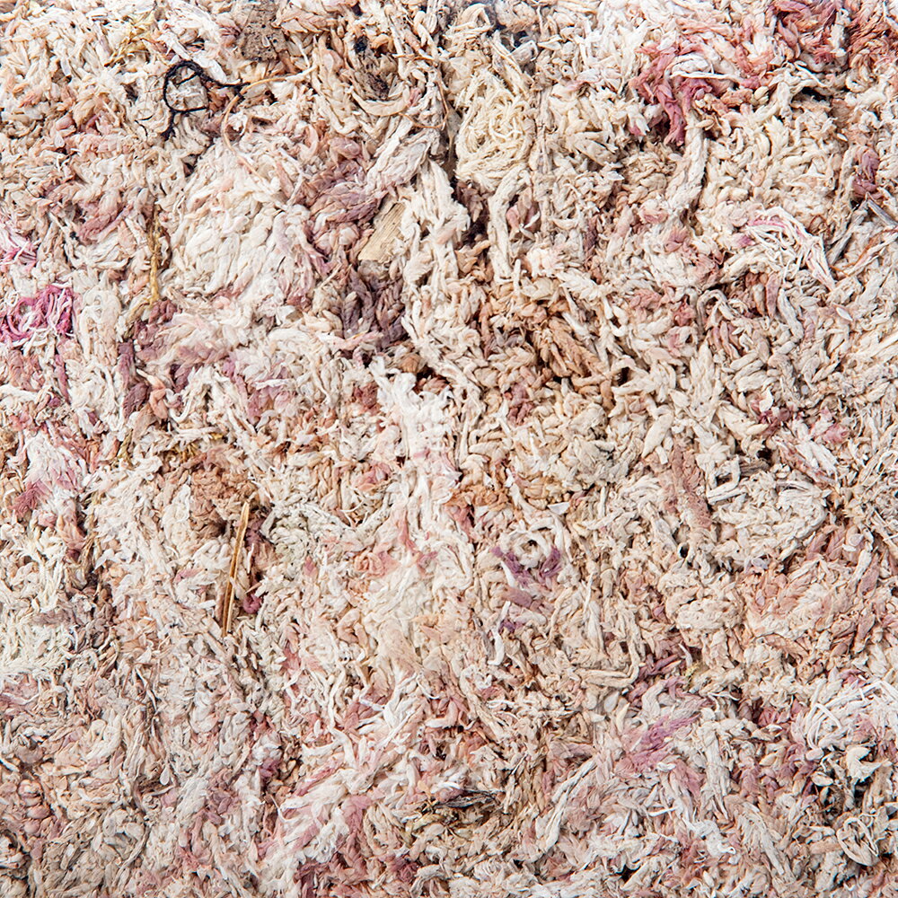 ���ݡ��ڥ롼����AAAA��12L�����̥����ס�����������