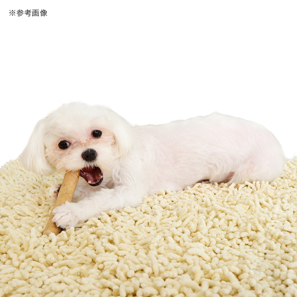 �ڥåĥ롼�ȡ����ե����塼���åɡ�M�����Ѥ�����㡡���������������淿���ѡ�����������