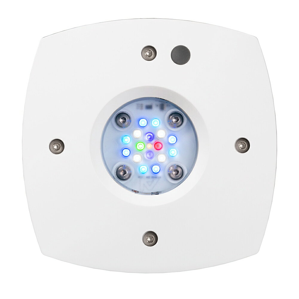 AI��PRIME�ʥץ饤��ˡ�16HD���ۥ磻�ȡ�SPS��LPS�����������������������