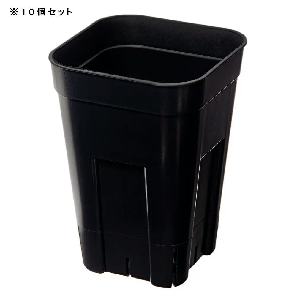 スリット鉢　プレステラ　90深型　黒　10個セット　ハオルチア　エケベリア　関東当日便