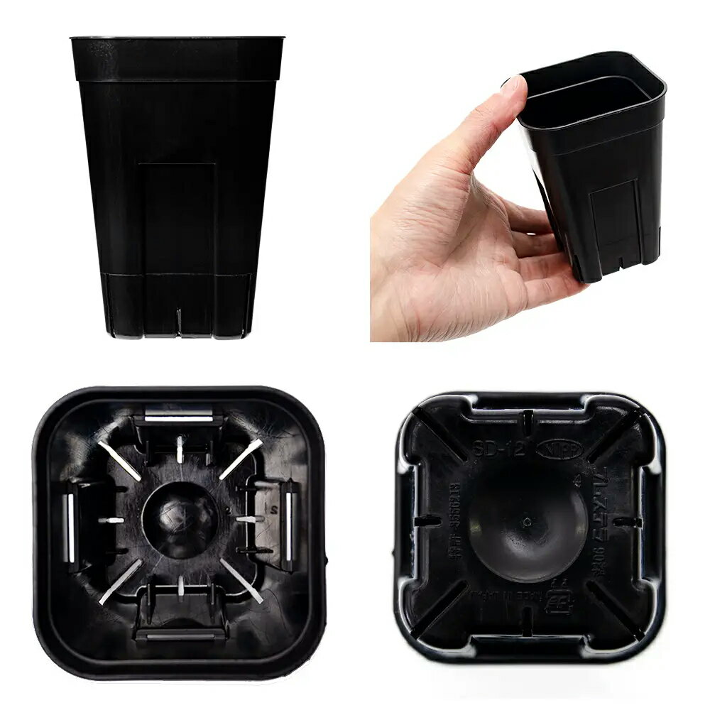 スリット鉢　プレステラ　90深型　黒　10個セット　ハオルチア　エケベリア　関東当日便