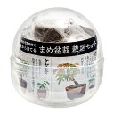 聖新陶芸　育てるカプセル　GREEN　CAPSULE　栽培セット　おまかせミニ盆栽　関東当日便