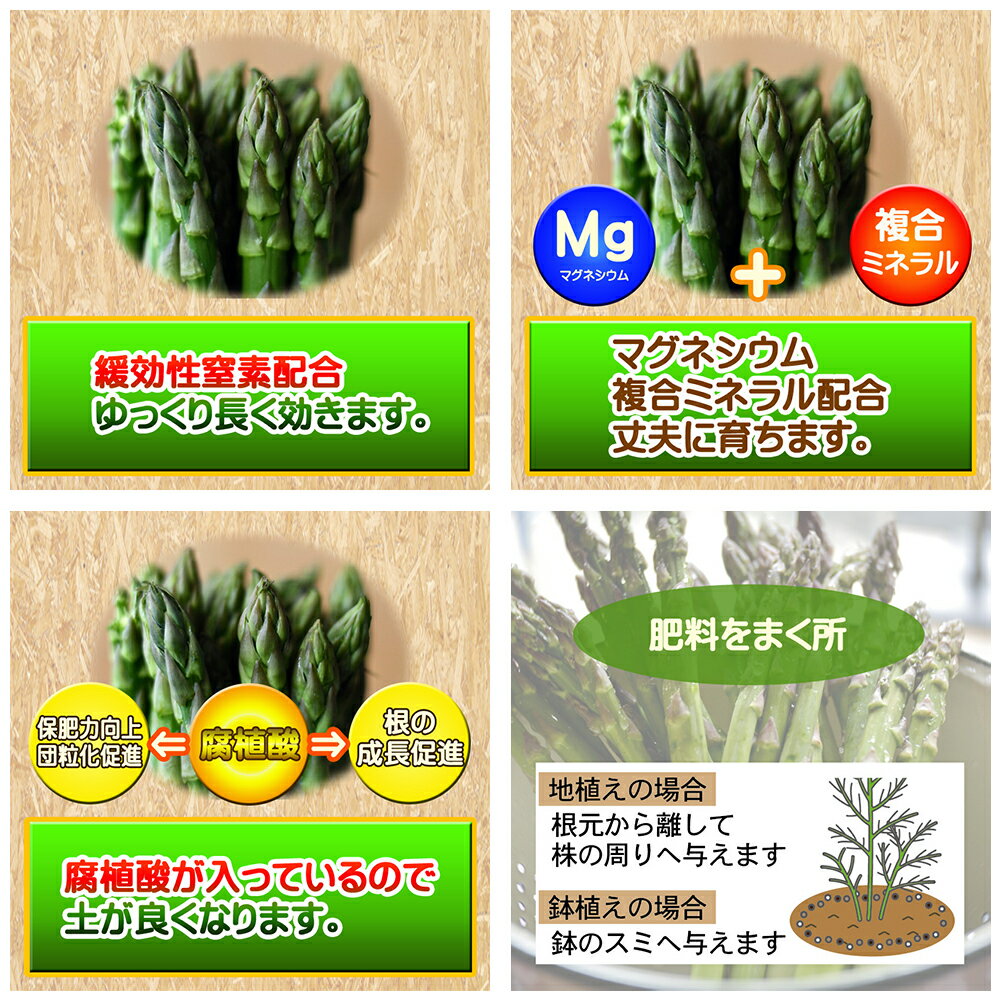 東商　アスパラガスの肥料　350g　関東当日便
