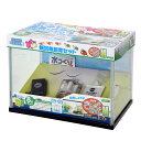 水作 水槽セット NEW きんぎょファミリー M お一人様1点限り 金魚 水槽 関東当日便