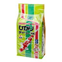 鯉の餌 キョーリン ひかりデイリー 大粒 浮上性 4kg×4袋 錦鯉 餌 飼料 お一人様10点限り 関東当日便