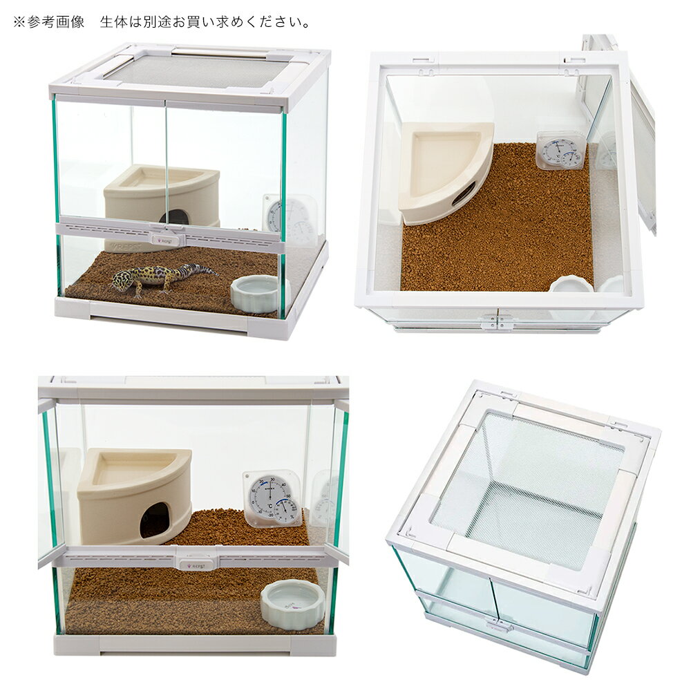 ヒョウモントカゲモドキ 飼育セット レオパ お...の紹介画像3