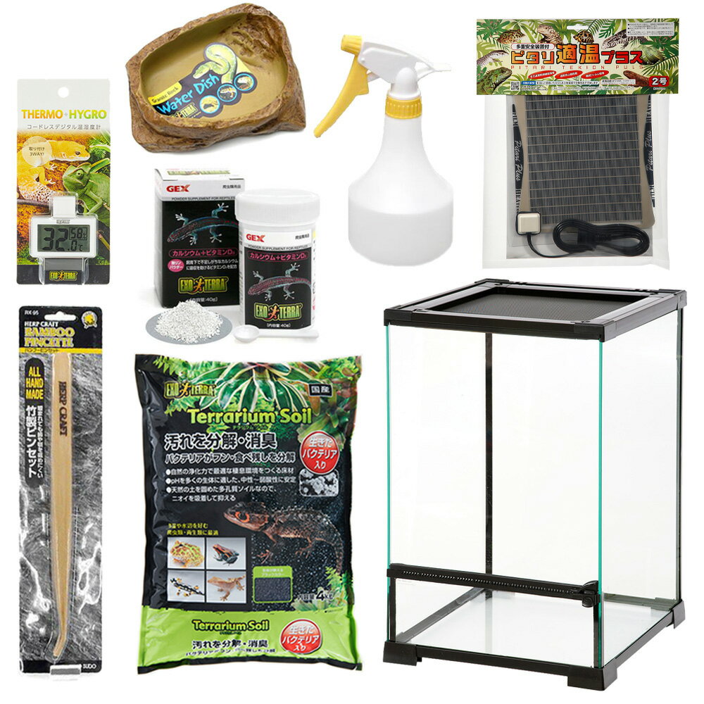 ������������δ��ܻ��饻�åȡ��������2���¤ꡡ����������