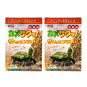 コメット カメサクッ! 超徳用 300g×2袋 関東当日便