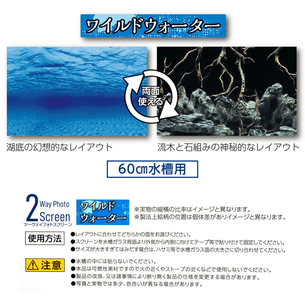 ���ȥ֥����ݡ��ġ��������ե��ȥ����꡼�󡡥磻��ɥ���������������������