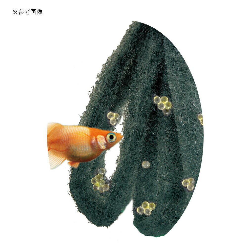 �����ȥ�å��ʡ�GEX���������������Τ���껺�񾲡��롼�ס��ġ�1�ġ������ꡡ����������