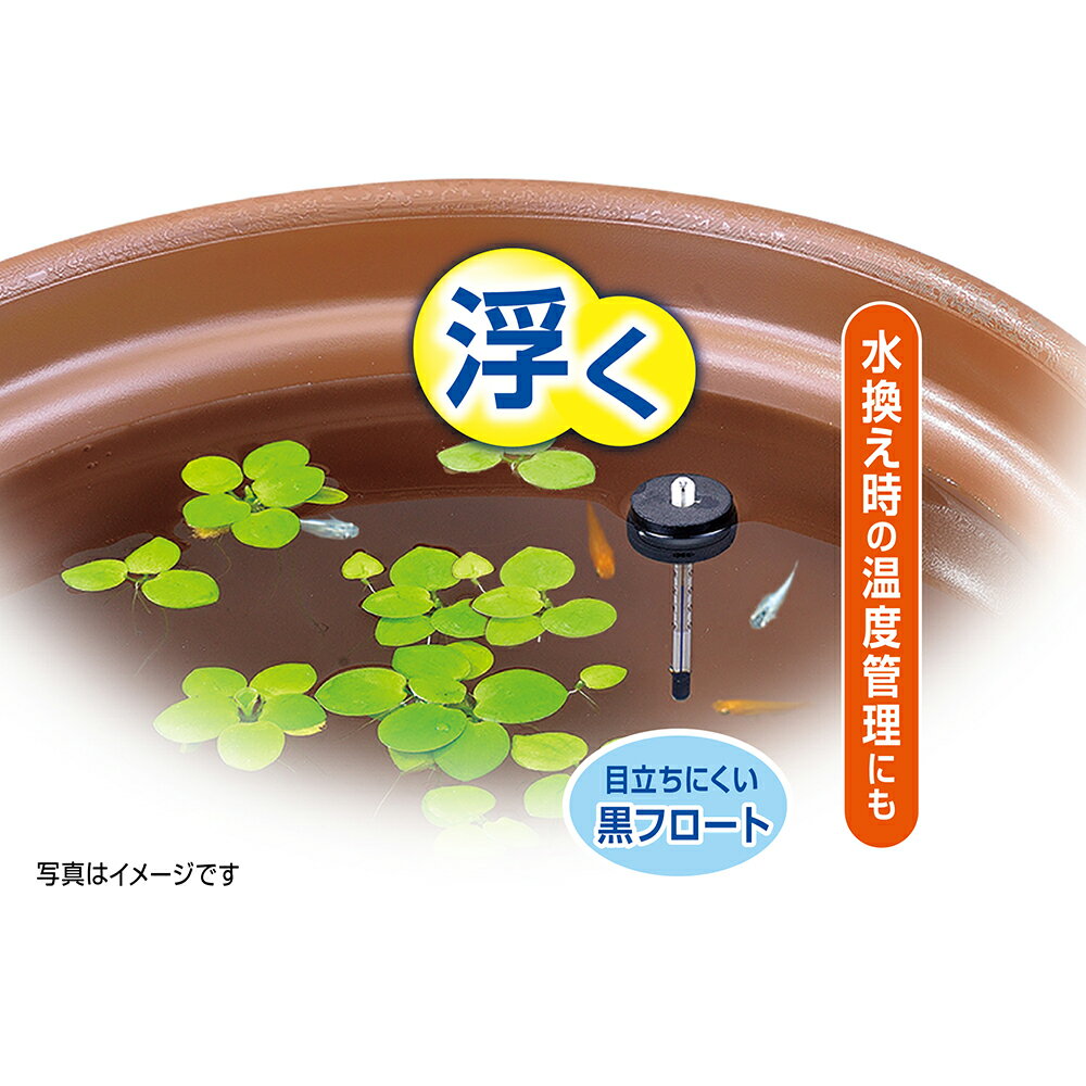 �岹�ס�GEX���⤯���ꥹ����岹�ס��������顡����������