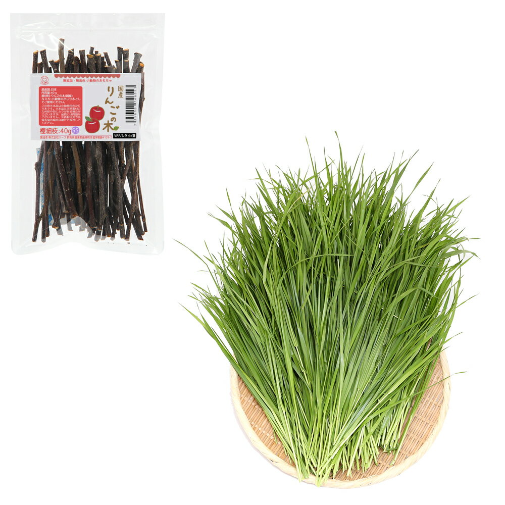 （観葉植物）国産　りんごの木極細枝40g＋とれたて生牧草イタリアンライグラス500g　うさぎ　USAYAMA
