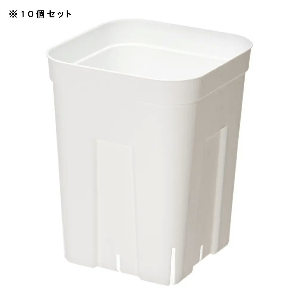 スリット鉢　プレステラ　120深型　白　10個セット　ハオルチア　エケベリア　関東当日便