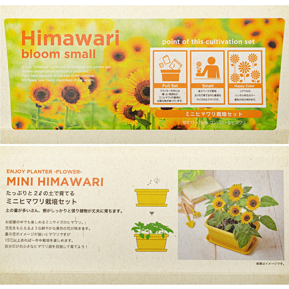 ����ƫ�ݡ�ENJOY��PLANTER��FLOWER��MINI��HIMAWARI�����ݥ��åȡ������ڱࡡ���եȡ�����������