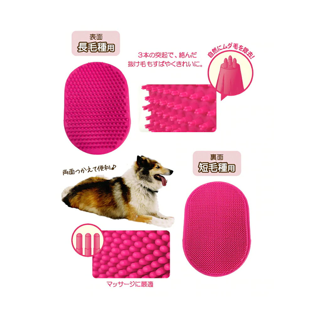 �ե��󥿥������ɡ��ѡ���֥饷���֥롡����������