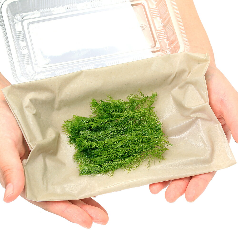 �ʿ���˥ߥꥪ�ե����sp���������ʥɥ�աʿ����աˡ�̵�����ˡ�10�ܡ�