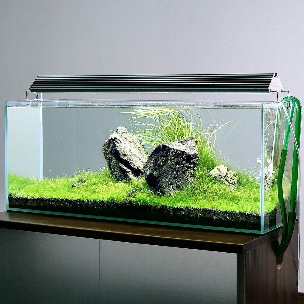 90スリム水槽で楽しむ水草レイアウトセット！草原の水草レイアウトセット　90cmスリム水槽フルセット　西日本用　60Hz特長●90cmスリム水槽で草原レイアウトを楽しめる用品込みのフルセットです。 ●石組みが難しい場面もありますが、完成するとシンプルかつ迫力ある水景が作り出せます。 セット内容●90cmスリム水槽（単体）アクロ90Nスリム ●アクロ　TRIANGLE　LED　GROW　Pro　900 ●リーフプロソイル　水草用　パウダー　8L　3袋 ●60Hz　エーハイム　クラシックフィルター　2217−NEW　西日本用 ●エーハイムメック（リング状）　1L　1袋 ●エーハイムサブストラット　プロ　レギュラー（ボール状）　1L　3袋 ●CO2フルセット　オリジナルコンパクトレギュレーター　Bセット ※CO2のセット方法は付属の説明書をよくお読みください。 ●Leaf　CO2　ボンベ　74g　1本 ●GEX　セーフカバー　ナビパック　SH300　〜150L水槽用 ●ブリクサ　ショートリーフ　10株 ●ヘアーグラス　ショート（水上葉）BOX売り　1BOX ●シペルス　ヘルフェリー（水上葉）　3ポット（残留農薬処理済み） ●形状お任せ　風山石　Lサイズ（約20〜25cm）　2個 ●形状お任せ　風山石　サイズミックス（約5〜15cm）　5kg ※水槽台はセットに含まれません。別途お好みの水槽台をご購入ください。 ※セットには残留農薬処理済診の水草が含まれるため、ビーシュリンプ等は入れないようご注意ください。●Q10サポートエレメンツ　淡水・海水用　30mL●Q10スタート　淡水用　30mLサイズ（約）【水槽】アクロ90Nスリム 本体：幅90×奥行き30×高さ36cm ガラス厚（約）：8mm 【フィルター】 直径23．5×高さ39cm 【ライト】アクロ　TRIANGLE　LED　GROW　Pro　900 本体：幅86．1×奥行き11．6×高さ5．8cm 電源コード長：150cm 吊り下げ金属付属ワイヤー長：50cm 【ヒーター】GEX　セーフカバー　ナビパック　SH300 本体：幅5×奥行き3．6×高さ11．4cm（吊り下げ用フック含まず） 電源コード：約0．9m センサーコード：約1．2m仕様【フィルター】 エーハイム　クラシックフィルター　2217−NEW　西日本用 定格電圧：AC100V　60Hz専用 ろ過容量：約6リットル（ろ材固定盤2枚付き） 流量：1，000リットル／h 最大揚程：2．3m 消費電力：20W 接続ホース径（内／外） 吸水側：16／22mm 排水側：12／16mm 【ライト】アクロ　TRIANGLE　LED　GROW　Pro　900 電源:入力AC−100V　50／60Hz 消費電力:99．9W チップ個数:白32赤2緑2青2で1モジュール ×3枚 計114個 色温度:7500K 平均演色性:Ra92 全光束:13350lm（4450lm×3モジュール） 照射角度:120° 発光効率:134lm／W 本体表面最高温度:約50℃ 素子カバーのアクリル板厚:1．6mm 耐熱温度（アクリル板）:80℃まで 板の透明度:93％ 【ヒーター】GEX　セーフカバー　ナビパック　SH300 定格電圧/周波数:AC　100V　50／60Hz ヒーター最大容量:最大300W 制御温度範囲:15〜35℃（温度設定精度 ±1．5℃） 使用可能周囲温度:5〜35℃ 使用可能周囲湿度:10〜85％（結露なき事）レイアウトのポイント●親石（大きい石）を置く際に石の位置が安定しないときは、石の下にサイズミックスの小さい石をかませて固定してください。 ※石を置く際に水槽を割らないようにご注意ください。 ●ソイルを敷く際に傾斜をつけると奥行きのあるレイアウトを作ることが出来ます。 ●シペルス　ヘルフェリーは正面から見て石の後ろ側に植えこむと根元が見えず、綺麗に植栽できます。 ●ヘアーグラス　ショートは土がついた状態でのお届けとなります。植栽する際には土をしっかりと落とし、細かく株分けをしてください。 水上葉の水草は水中葉が展開した際には一度トリミングをしてください。水上葉をそのままにしておくと黒ひげゴケが発生する原因となります。ご注意※セット内容が予告なしに変更となる場合があります。予めご了承ください。 ※CO2ボンベは業務用での販売はできません。ご了承ください。 ※画像はセットイメージです。 ※育成状況により、写真程度のボリュームに複数株合わせ発送させて頂くこともございます。 ※水槽は必ず水槽台の上に設置してください。 ※当店では残留農薬のある商品の対処を行っておりますが、無農薬、残留農薬処理済の表記はあくまで目安です。ご購入された水草をお客様の水槽に入れた後、生体の致死等の損害は一切負いかねます。予めご了承ください。 CO2フルセット　チャームオリジナルコンパクトレギュレーターBセットDX（6mm対応電磁弁＆タイマー付き）　水草NEWA　サーモオートヒーター　200W　26℃固定　90cm水槽以下用　通電確認機能付き　熱帯魚ニッソー　プロテクトICオート　R−300W　サーモスタット一体型　〜150L以下水槽用　アクアリウム　ヒーター　熱帯魚　水槽（エビ・貝）無選別　石巻貝（10匹）（＋1割おまけ）Leaf　CO2　ボンベ　74g　5本セット　炭酸ボンベ　汎用品　新瓶　水草育成　水草　水草水槽ガラス水槽　アクロ90スリム　90×30×36cm　180サイズ　お一人様1点限りアクロ　TRIANGLE　LED　GROW　900　5000lm　90cm水槽　照明　水草育成　熱帯魚　アクアリウム　ライトJUN　プラチナソイル　ノーマル　8L　熱帯魚　水草　エビ　吸着系　お一人様3点限りGEX　セーフカバー　ナビパック　SH300　〜150L水槽用　ヒーター、サーモ分離型　熱帯魚（熱帯魚）サイアミーズ・フライングフォックス（4匹）　北海道・九州航空便要保温（熱帯魚）オトシンクルス（6匹）　北海道・九州航空便要保温 … komkeset　草原の水草レイアウトセット　90cmスリム水槽用　rknd　ブリクサ　ショートリーフ　ブリショー　ヘアーグラス　ショート　ヘアショー　シペルス　ヘルフェリー　レイアウトセット　レイアウト　90cm　スリム　風山石　草原レイアウト　草原　水槽レイアウト　初心者　水草　作り方　アクアリウム　アクロ　TRIANGLE　LED　GROW　Pro　900　13350lm　90Nスリム　石組みレイアウト　石組み　岩組　岩組レイアウト　エーハイム　クラシックフィルター　2217　CO2フルセット　オリジナルコンパクトレギュレーター　Bセット　y22m06　mizukusafullset　medaka_suisoset　q10_hidden　q10support　4972547029003　4580295481501　4011708224212　4580295214468　4589498974575風山石　5kg　約5〜15cm　45cm水槽向け　形状お任せ　アクアリウム　レイアウト素材　国産品・《セット用》アクロ　TRIANGLE　LED　GROW　Pro　900 ・《セット用》Leaf　CO2　ボンベ　74g　1本　炭酸ボンベ　汎用品　新瓶　二酸化炭素 ガラス水槽　アクロ90スリム　90×30×36cm　180サイズ　お一人様1点限り外部フィルター　エーハイム　クラシックフィルター　2217−NEW　60Hz　西日本用　90〜120cm水槽エーハイム　サブストラット　プロ　レギュラー　パッケージなし　1Lエーハイム　メック　パッケージなし　1L・《セット用》Q10スタート　淡水用　30mL　白濁除去塩素中和剤　植物由来　魚・エビに優しいカルキ抜き ・《セット用》Q10サポートエレメンツ　淡水・海水用　30mL　微量元素添加剤 ・《セット用》説明書　アクロ　LED　トライアングル　プロ　グロウ・ブライト　取扱説明書 構成する商品内容は在庫状況により予告無く変更になる場合がございます。予めご了承下さい。■この商品をお買い上げのお客様は、下記商品もお買い上げです。※この商品には付属しません。■CO2フルセット　チャームオリジナルコンパクトレギュレーターBセットDX（6mm対応電磁弁＆タイマー付き）　水草NEWA　サーモオートヒーター　200W　26℃固定　90cm水槽以下用　通電確認機能付き　熱帯魚ニッソー　プロテクトICオート　R−300W　サーモスタット一体型　〜150L以下水槽用　アクアリウム　ヒーター　熱帯魚　水槽（エビ・貝）無選別　石巻貝（10匹）（＋1割おまけ）Leaf　CO2　ボンベ　74g　5本セット　炭酸ボンベ　汎用品　新瓶　水草育成　水草　水草水槽ガラス水槽　アクロ90スリム　90×30×36cm　180サイズ　お一人様1点限りアクロ　TRIANGLE　LED　GROW　900　5000lm　90cm水槽　照明　水草育成　熱帯魚　アクアリウム　ライトJUN　プラチナソイル　ノーマル　8L　熱帯魚　水草　エビ　吸着系　お一人様3点限りGEX　セーフカバー　ナビパック　SH300　〜150L水槽用　ヒーター、サーモ分離型　熱帯魚（熱帯魚）サイアミーズ・フライングフォックス（4匹）　北海道・九州航空便要保温（熱帯魚）オトシンクルス（6匹）　北海道・九州航空便要保温