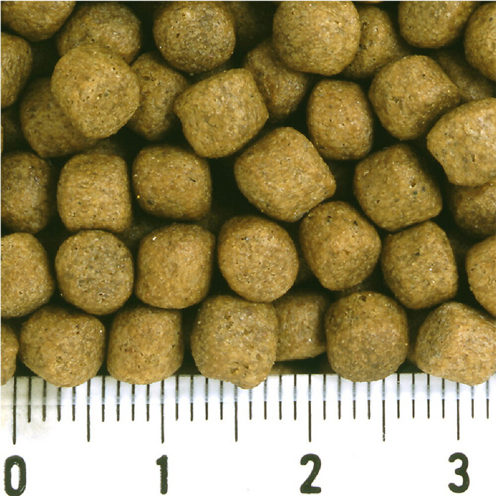 ��α¡����硼��󡡺�Ҥ��ꡡ�����ѡ���塡M��15kg���Ӹ񡡱¡�����������������