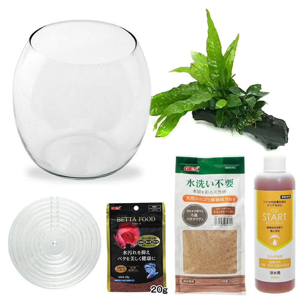 �ʿ����GEX�����饹�������ɥ��åס�N�����ʥʥץ����ߥ������ꥦ��ȥ٥������������ܽ��͹����