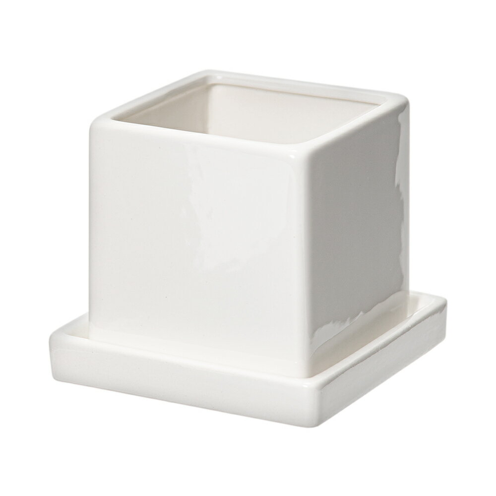 ニューダイス　M　白（穴有り・受け皿付）（W9．8×D9．8×H9．6cm）　関東当日便