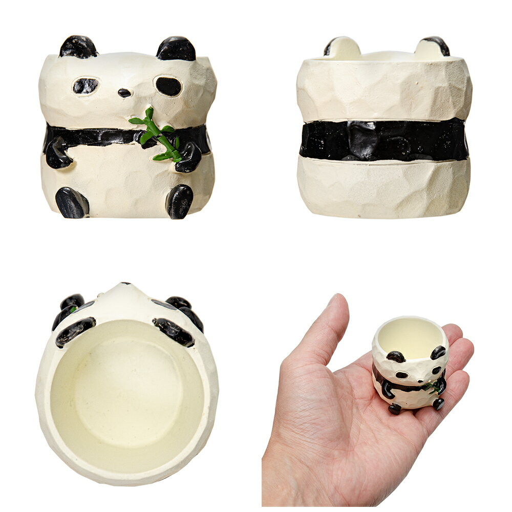 ȭ����ȥ�쥸��ݥåȡ��ѥ����1��ݥå��ѡ�ȭ���С�������������