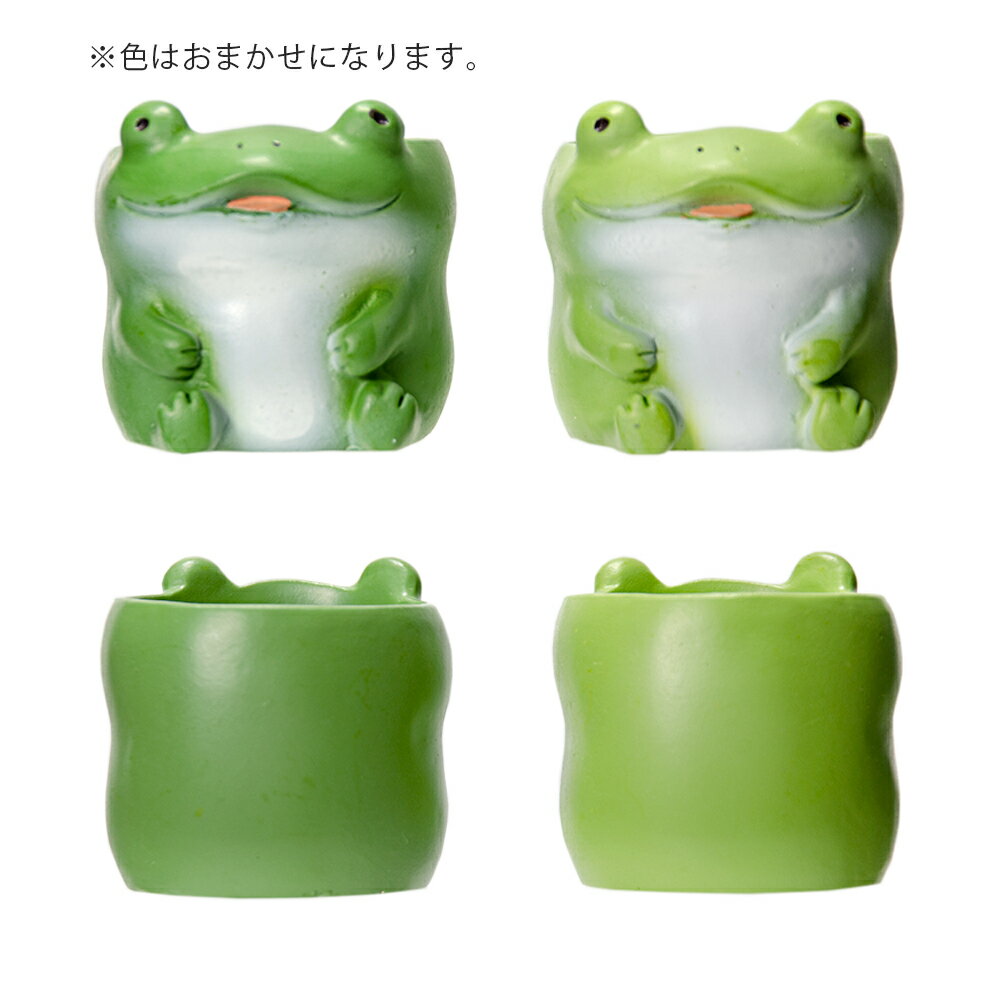 ȭ����ȥ�쥸��ݥåȡ������롡1��ݥå��ѡ������ޤ�����ȭ���С�������������