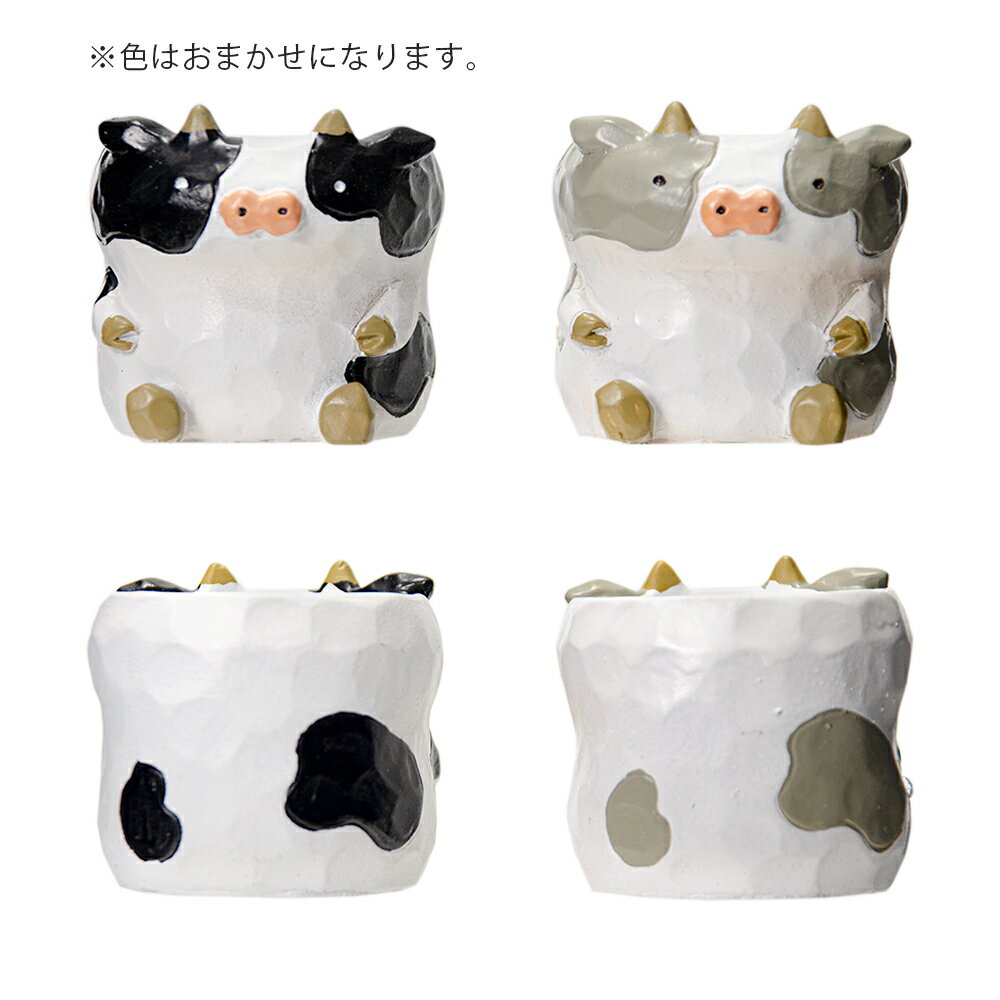 ȭ����ȥ�쥸��ݥåȡ�������1��ݥå��ѡ������ޤ�����ȭ���С�������������