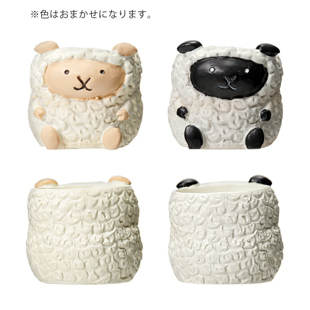 ȭ����ȥ�쥸��ݥåȡ��ҥĥ���1��ݥå��ѡ������ޤ�����ȭ���С�������������