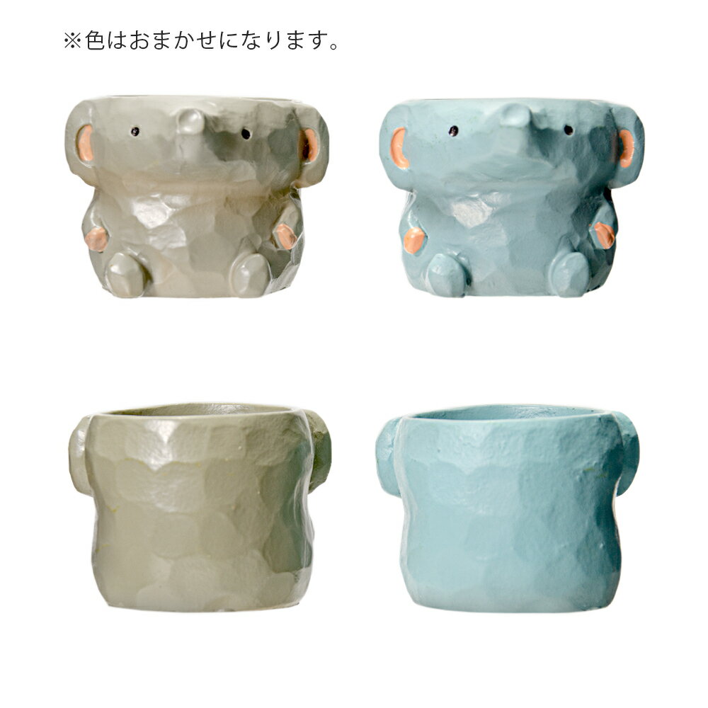 ȭ����ȥ�쥸��ݥåȡ�������1��ݥå��ѡ������ޤ�����ȭ���С�������������