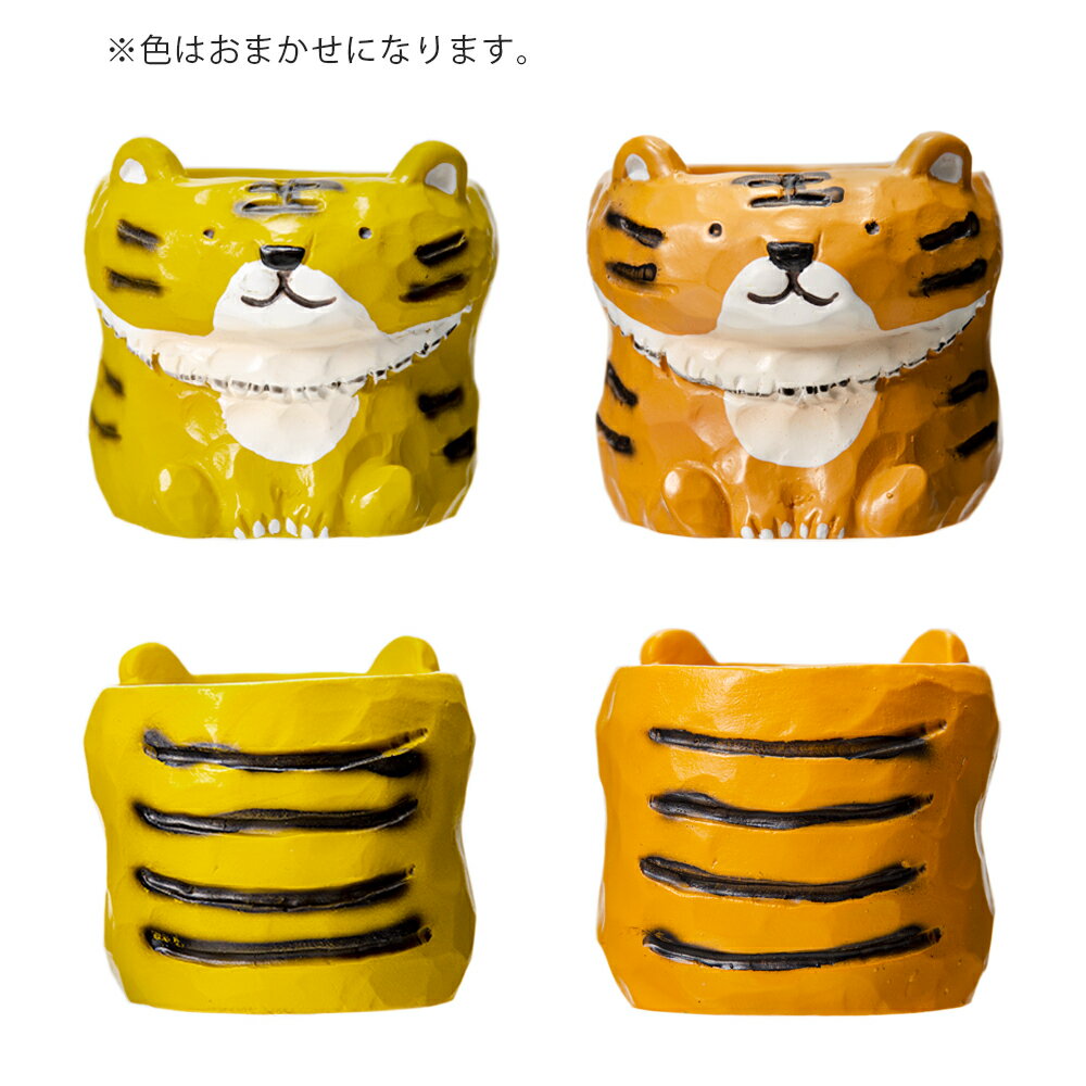 ȭ����ȥ�쥸��ݥåȡ��ȥ顡1��ݥå��ѡ������ޤ�����ȭ���С�������������