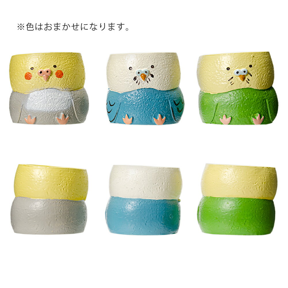 ȭ����ȥ�쥸��ݥåȡ����󥳡�1��ݥå��ѡ������ޤ�����ȭ���С�������������