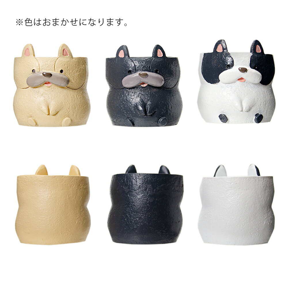 ȭ����ȥ�쥸��ݥåȡ��ե����֥�ɥå���1��ݥå��ѡ������ޤ�����ȭ���С�������������