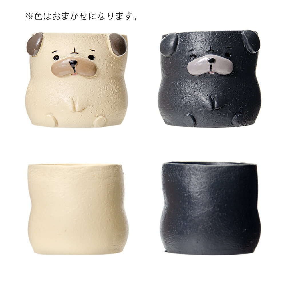 ȭ����ȥ�쥸��ݥåȡ��ѥ���1��ݥå��ѡ������ޤ�����ȭ���С�������������