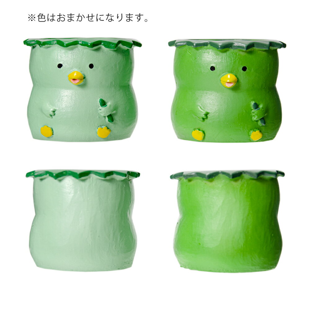 �����ȥ�å��ʡ�ȭ����ȥ�쥸��ݥåȡ����åѡ�1��ݥå��ѡ������ޤ�����ȭ���С��������ꡡ����������