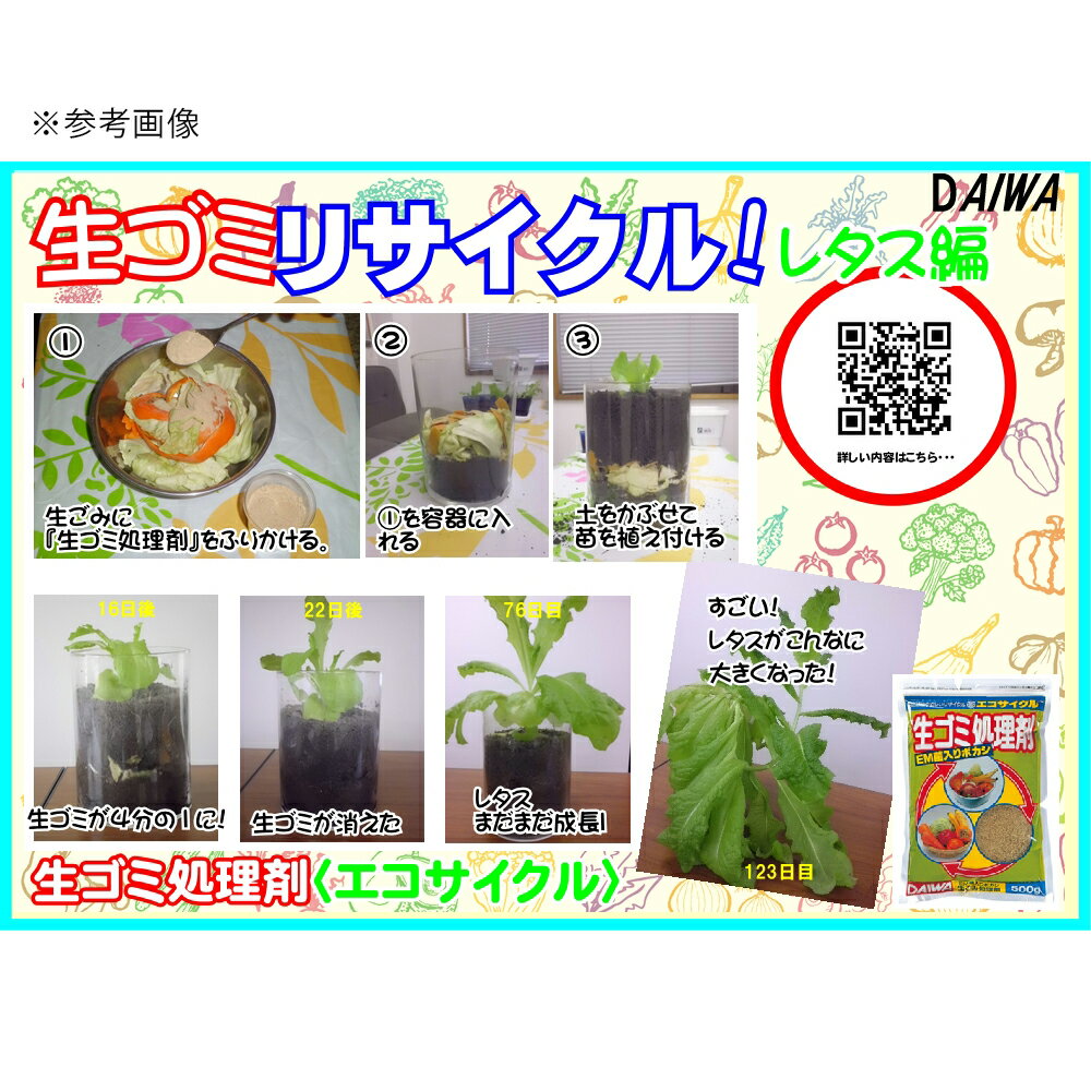 �����߽����ޡ������������롡500g������������