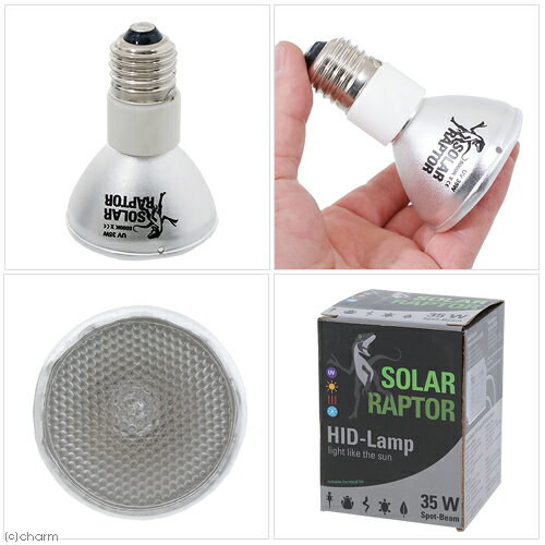 ゼンスイ　ソーラーラプター　HIDランプ　35W　交換球　爬虫類　ライト　メタルハライドランプ　関東当日便