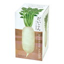 聖新陶芸 おうちで根菜栽培セット だいこん 栽培セット 家庭菜園 ギフト 関東当日便