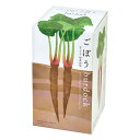 聖新陶芸 おうちで根菜栽培セット ごぼう 栽培セット 家庭菜園 ギフト 関東当日便