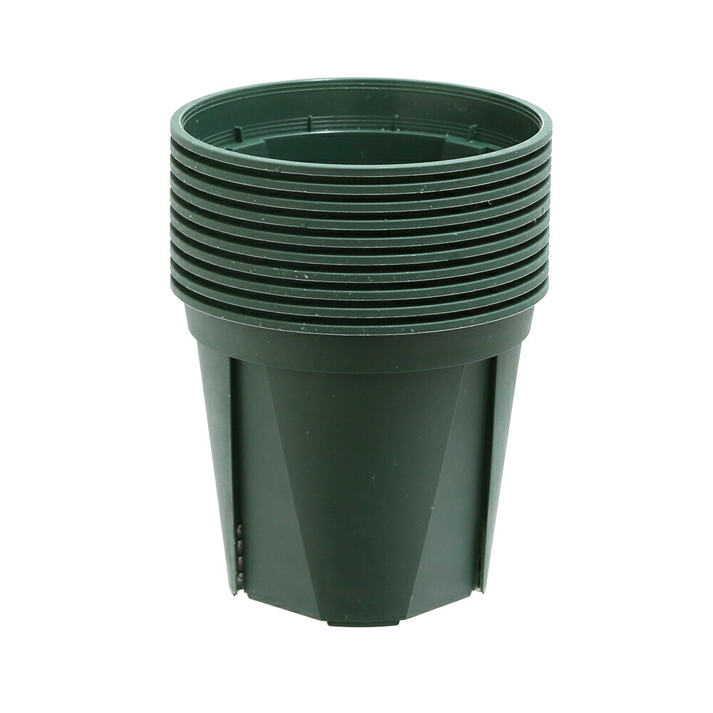 ����å�ȭ��EUPOT��12cm���⥹���꡼��10�����ꡡ����������