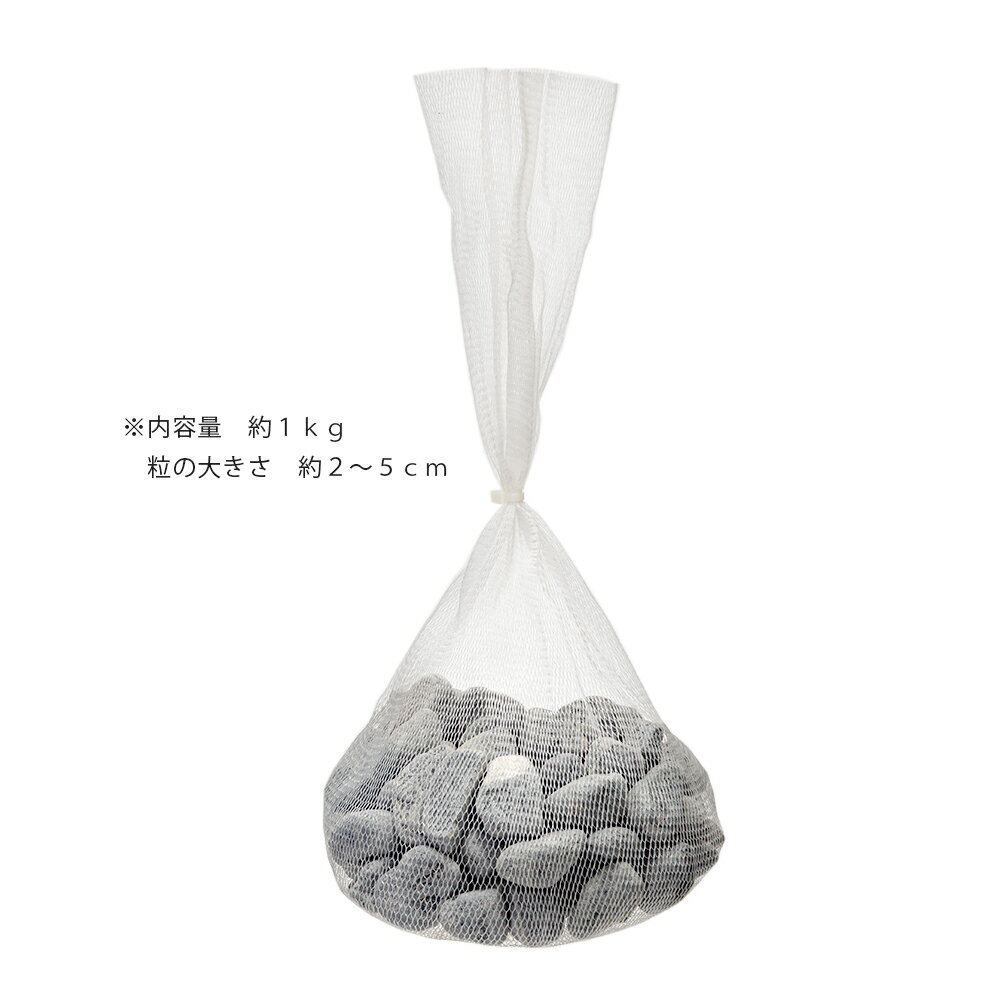 ����å��她�ȡ��󡡥��졼��1kg���ޥ���󥰺ࡡ����������