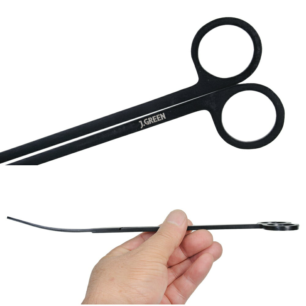 JUN��J��GREEN���Ϥ��ߡ��ޥåȥ֥�å���25cm������������