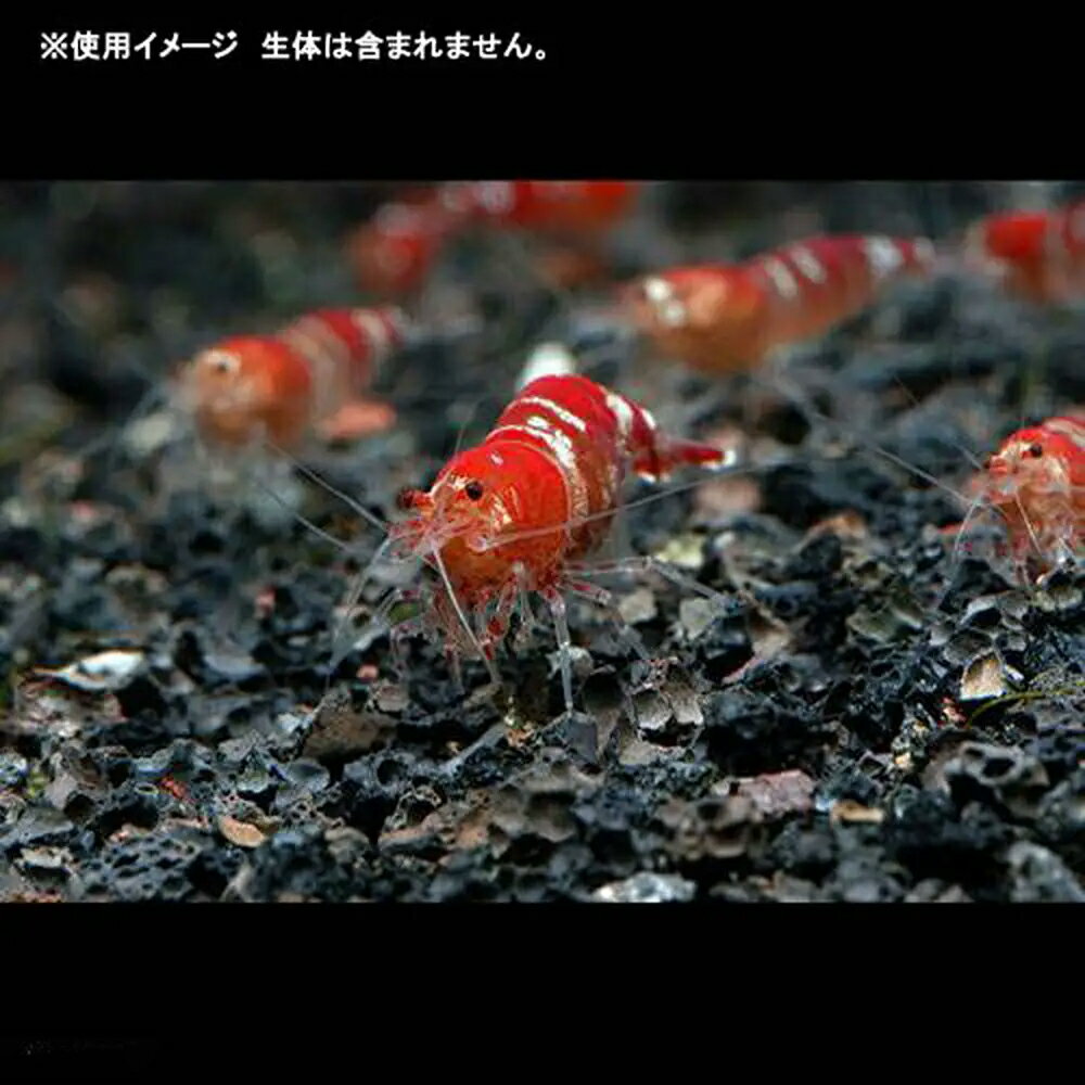 �캽��No��114���ϴ亽��7��åȥ롡Volcano���쾲�����塡����������