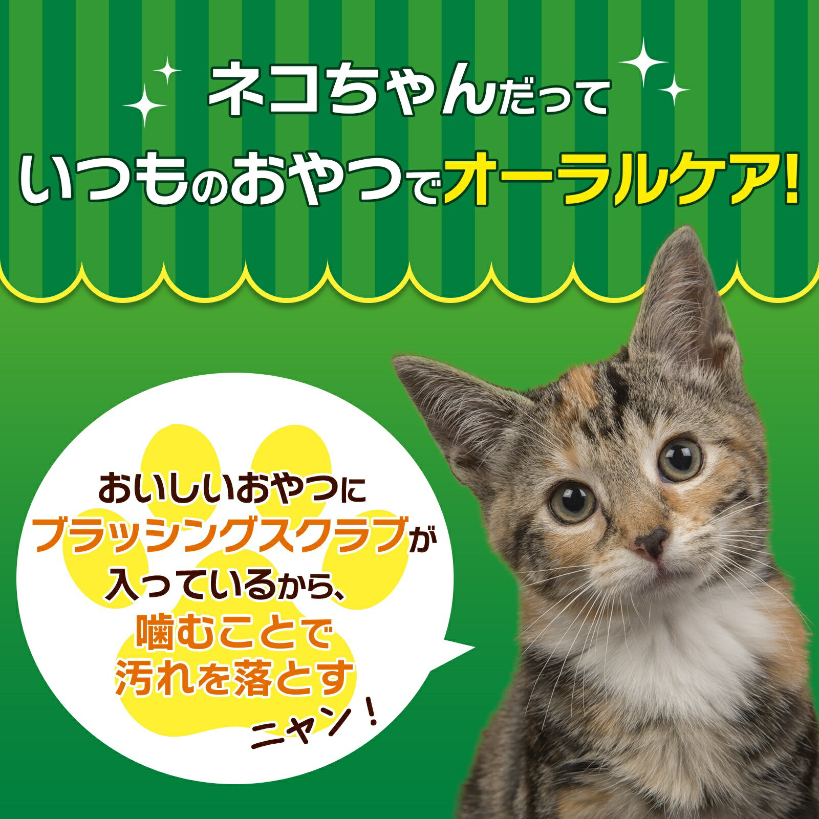 �饤���󡡥ڥåȥ��å���PETKISS���ͥ������λ��ߤ�������ġ����餫��������̣��14g��ǭ�����᤭������������