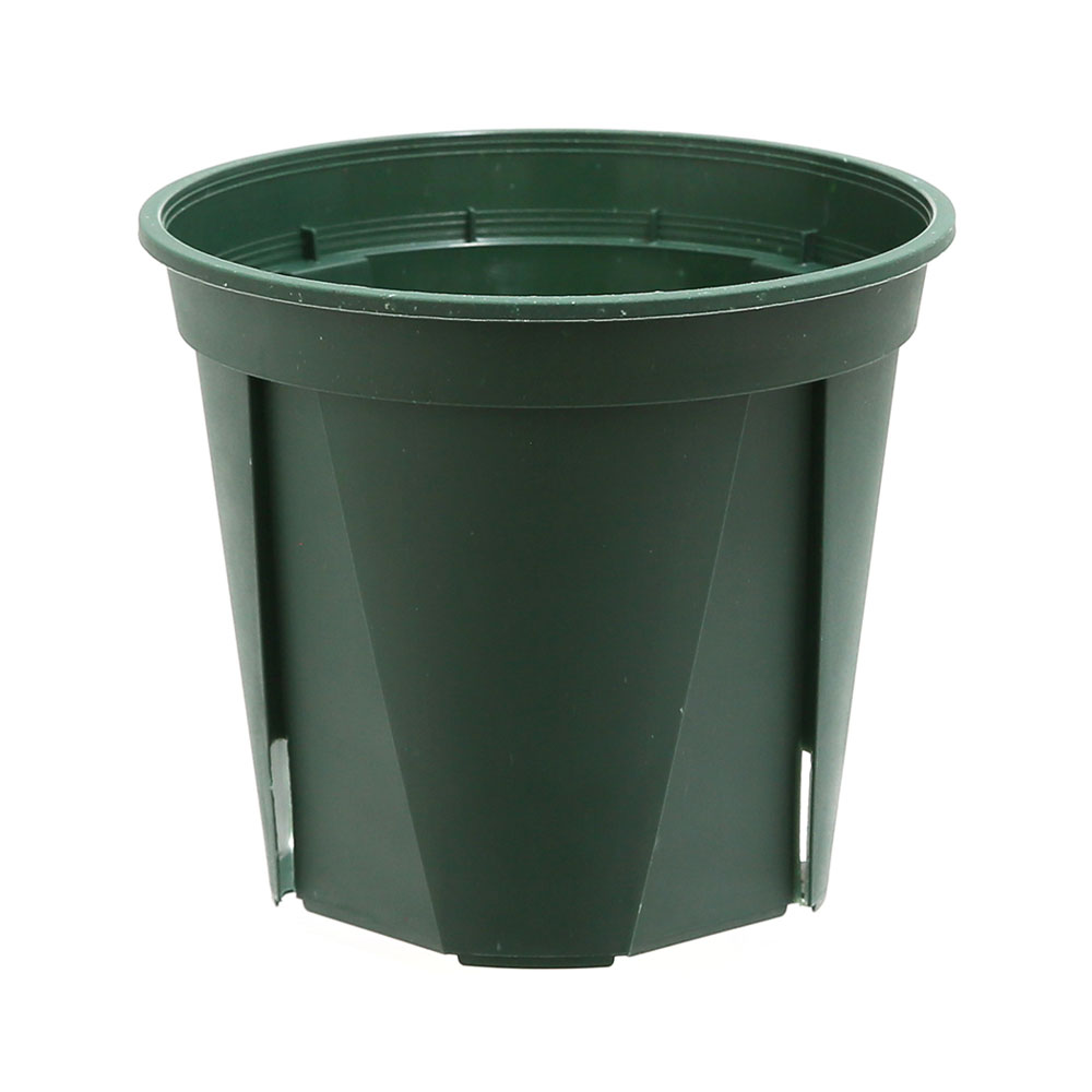 ����å�ȭ��EUPOT��12cm���⥹���꡼��30�ġ�����������